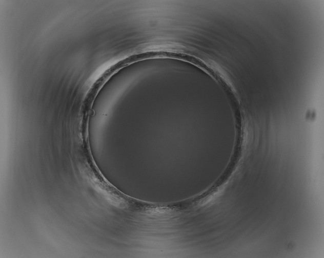 X0000111800830200907231208