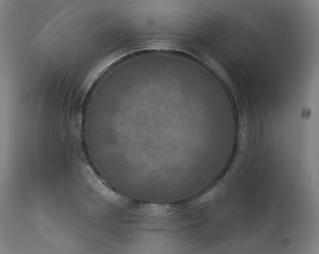 X0000111800831200907231208