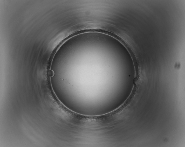 X0000111800834200907231208
