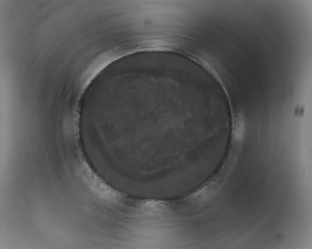 X0000111800835200907231208