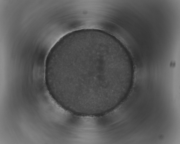 X0000111800836200907231208