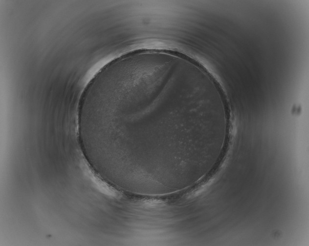 X0000111800837200907231208