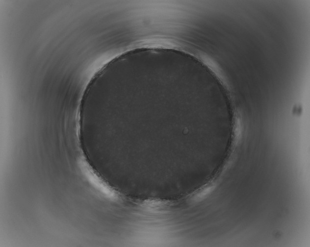 X0000111800840200907231208