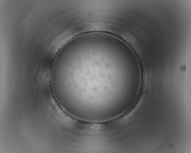 X0000111800841200907231208
