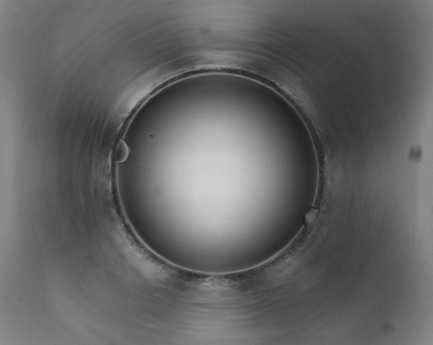 X0000111800842200907231208