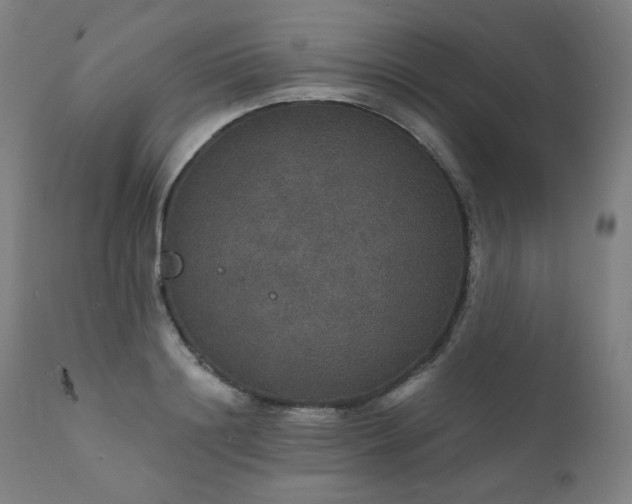 X0000111800844200907231208