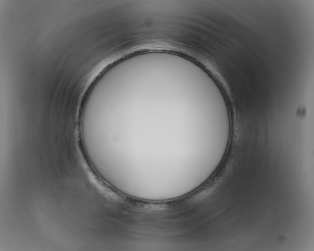 X0000111800845200907231208
