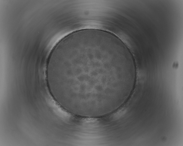 X0000111800846200907231208