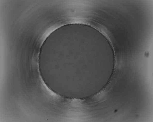 X0000111800847200907231208