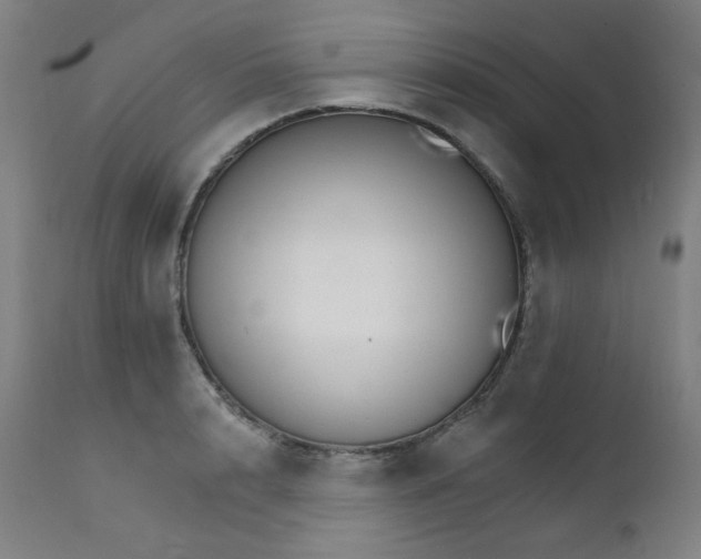 X0000111800848200907231208