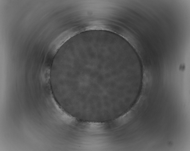 X0000111800849200907231208