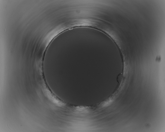 X0000111800850200907231208