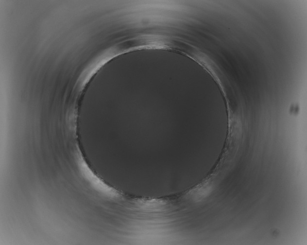 X0000111800851200907231208