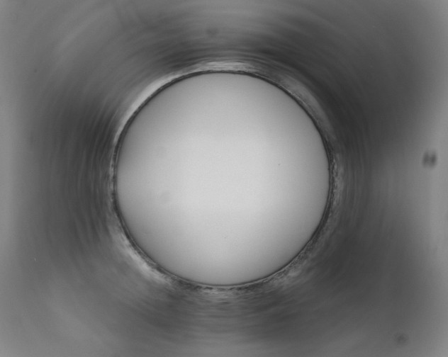 X0000111800852200907231208