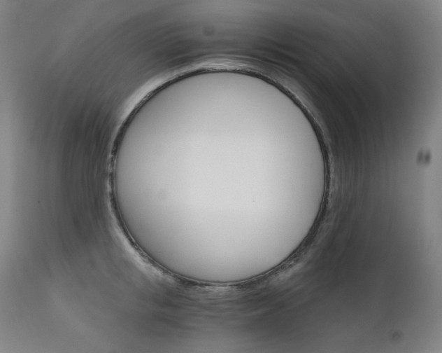 X0000111800853200907231208