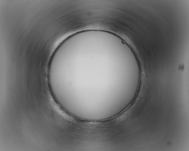 X0000111800854200907231208