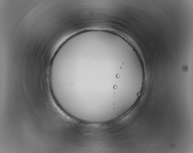 X0000111800855200907231208