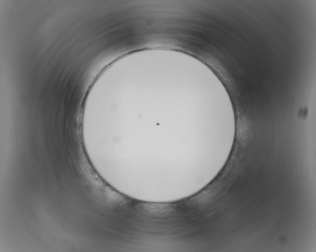 X0000111800856200907231208