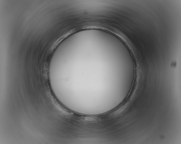 X0000111800857200907231208