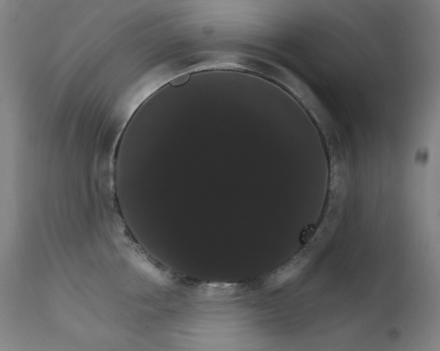 X0000111800858200907231208
