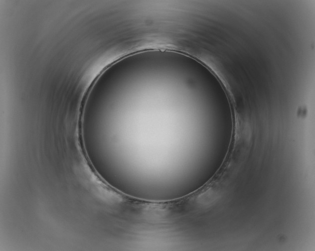 X0000111800861200907231208