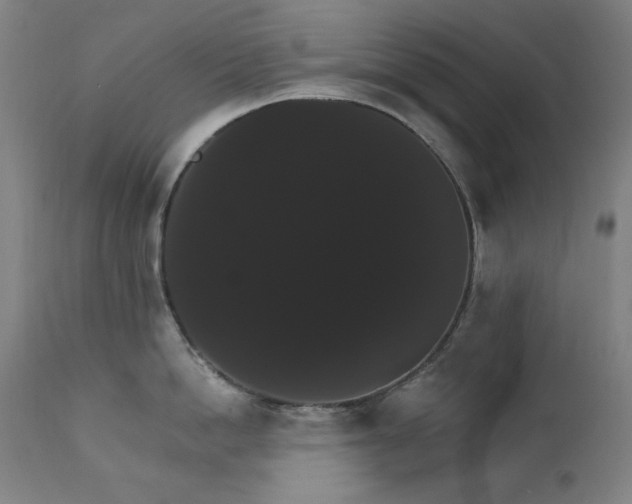 X0000111800862200907231208