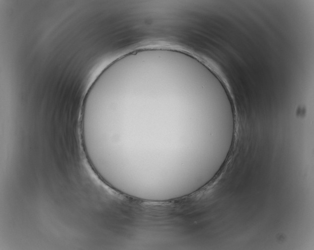 X0000111800863200907231208