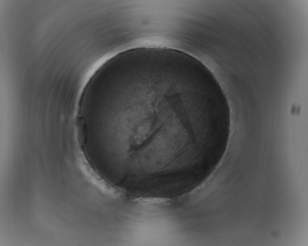 X0000111800864200907231208