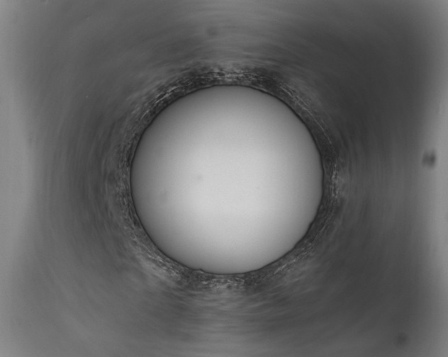 X0000111800865200907231207