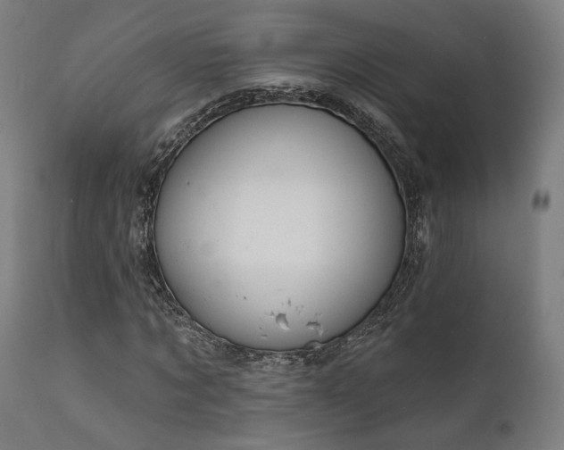 X0000111800869200907231207