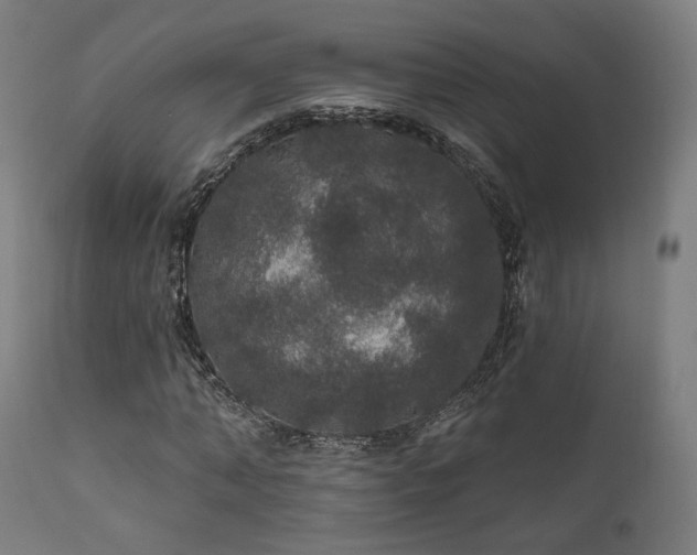 X0000111800870200907231207