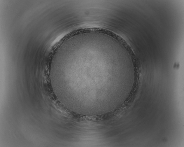 X0000111800871200907231207