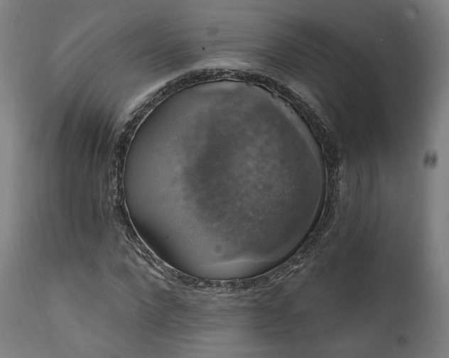X0000111800872200907231207