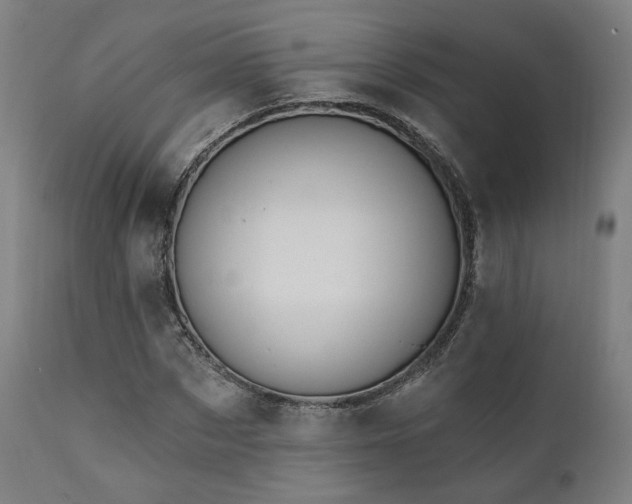 X0000111800873200907231207