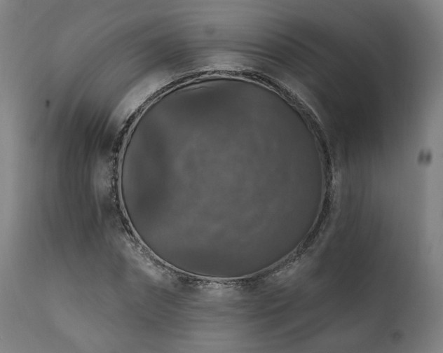 X0000111800874200907231207