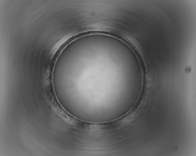 X0000111800875200907231207