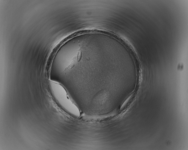 X0000111800876200907231207