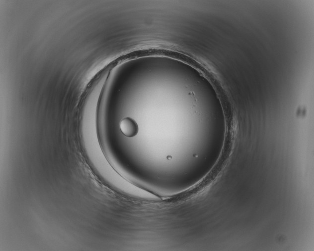 X0000111800877200907231207