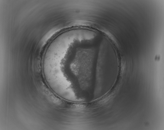 X0000111800878200907231207