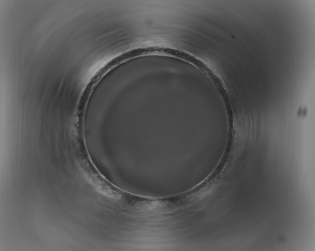X0000111800879200907231207