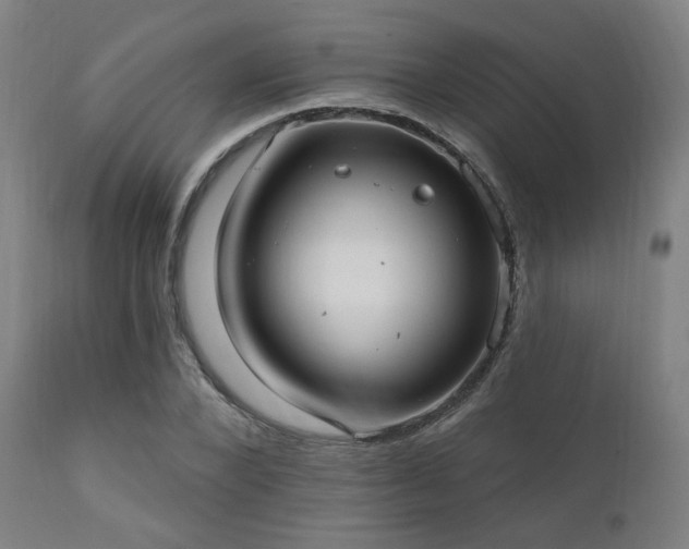 X0000111800880200907231207