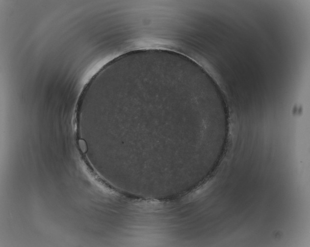 X0000111800885200907231207