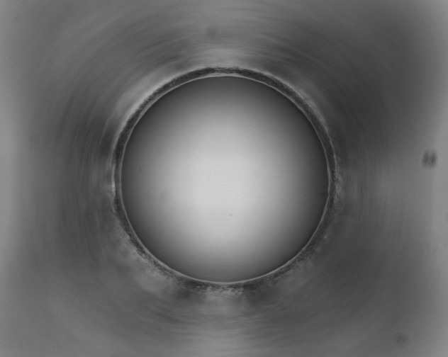 X0000111800887200907231207