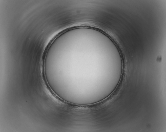 X0000111800888200907231207