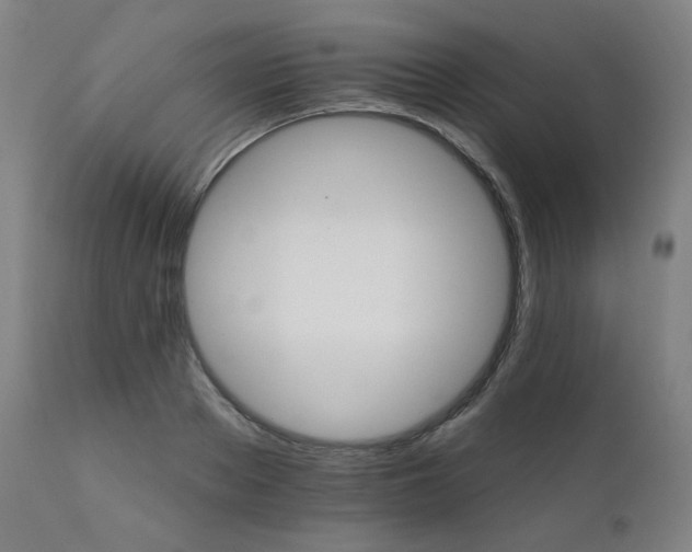 X0000111800889200907231207