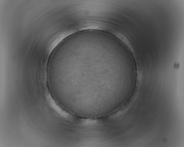 X0000111800890200907231207