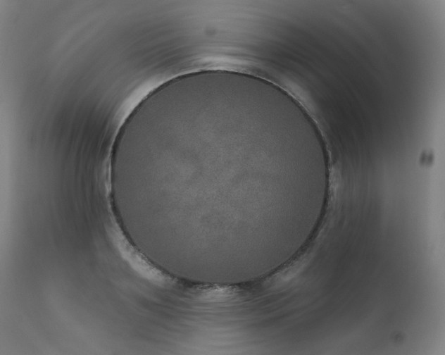 X0000111800891200907231207