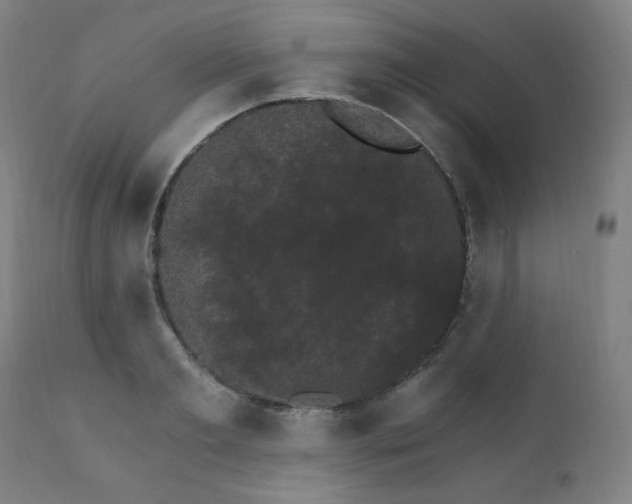 X0000111800893200907231207