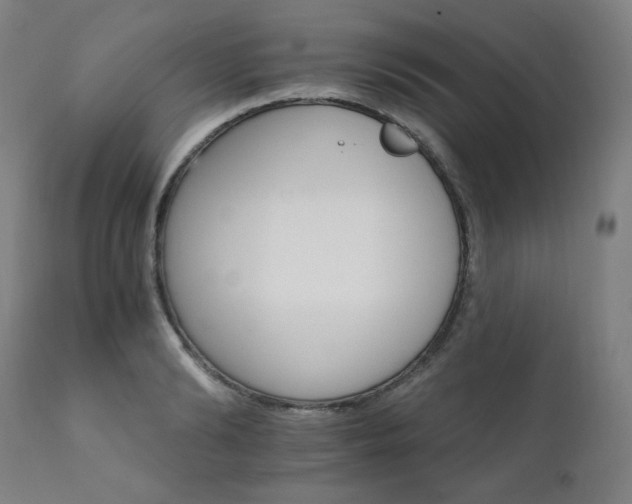 X0000111800894200907231207