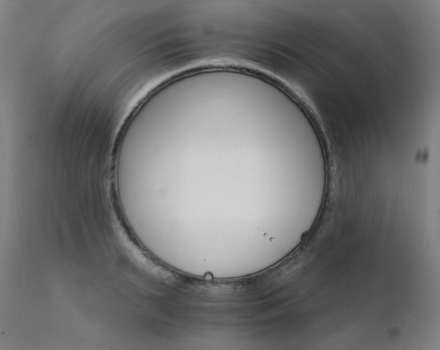 X0000111800895200907231207